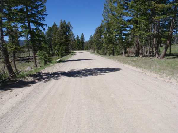 NF 84, with maybe 8 miles to the Continental Divide Crossing (#5).